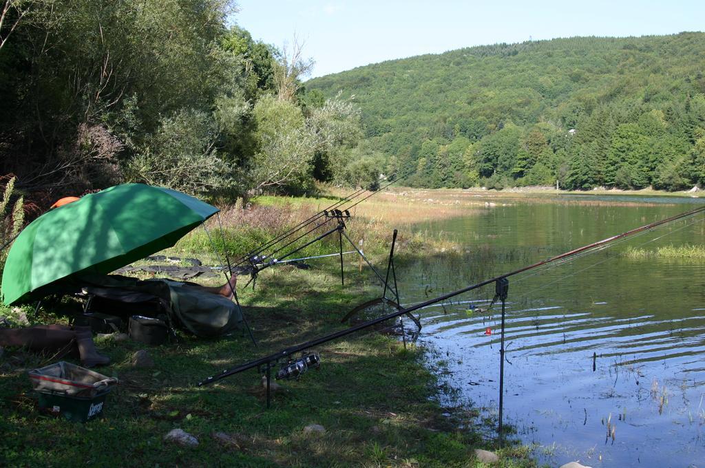 De Rouayras Hébergement de vacances